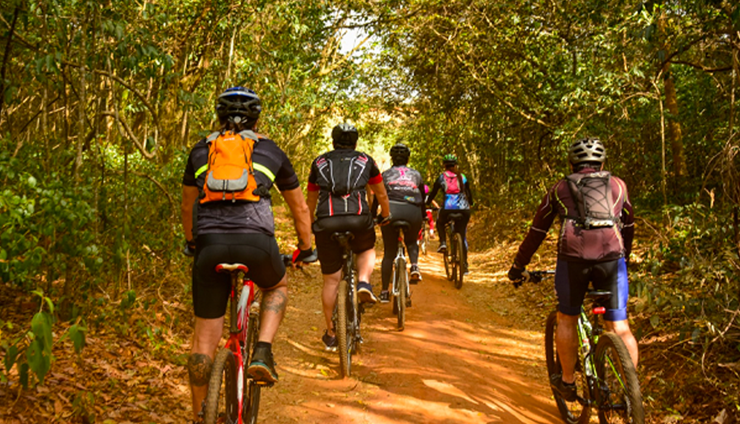 Bicicletas a venda Uberlandia